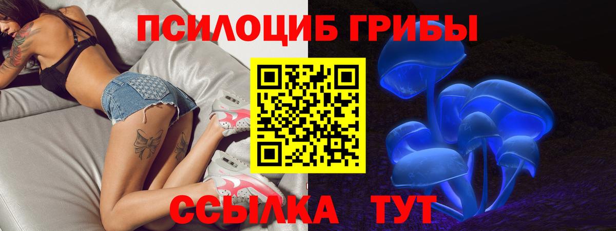 Галлюциногенные грибы Cubensis Саянск